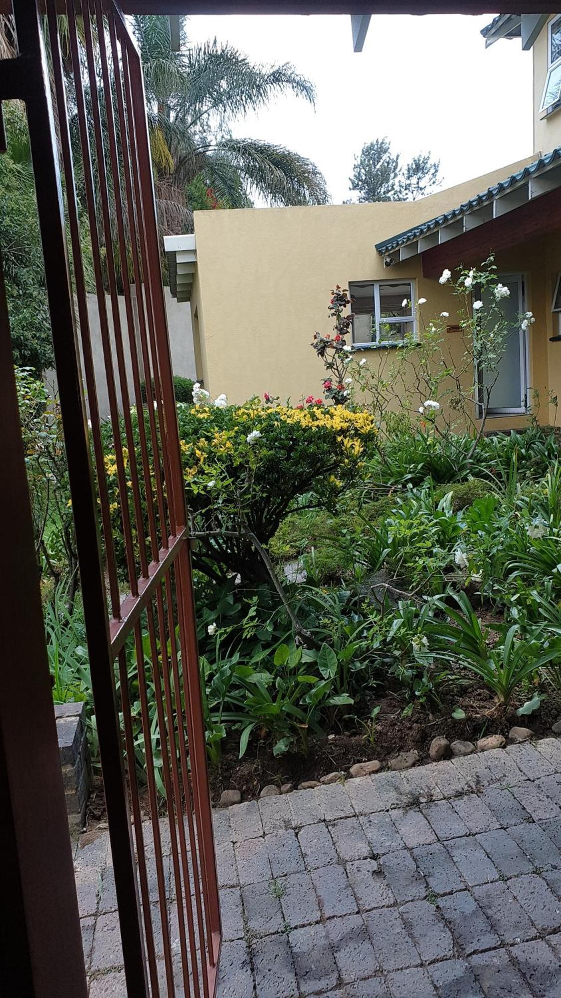 Matina Guest House Johannesburg Kamer foto